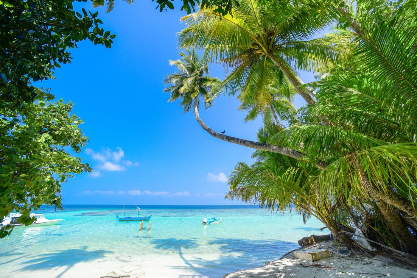Warm turquoise water typical of Bohol's coastline